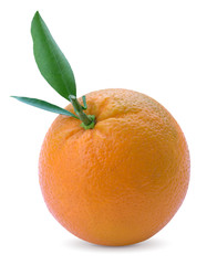 citrus orange