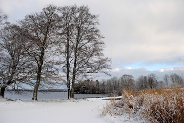 Obraz na płótnie Canvas Winter in Skaraborg