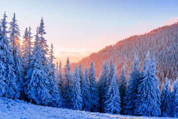 fabulous winter landscape