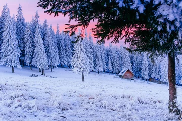 Photo sur Plexiglas Hiver winter landscape trees in frost