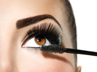Mascara applying. Long lashes closeup. Makeup for brown eyes