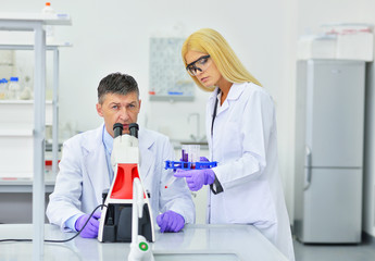 Naklejka na ściany i meble two people working in the laboratory