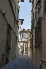 Fototapeta na wymiar Lucca narrow street, Italy