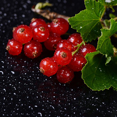 The red currant close up