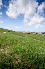 prairie toscane crete senesi