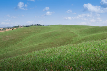 prairie toscane crete senesi