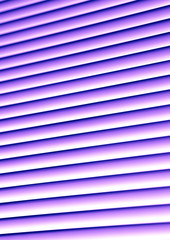 Violet blinds