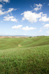 Obraz premium prairie toscane crete senesi