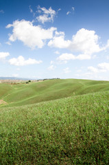 Obraz premium prairie toscane crete senesi