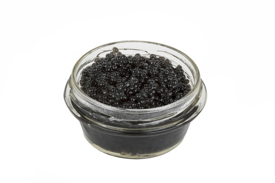 jar of caviar on a white background