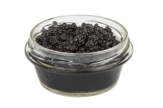 jar of caviar on a white background