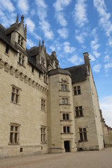 Fototapeta na wymiar Maine-et-Loire - Château de Montsoreau - Tour renaissance