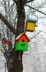 Bird house in winter