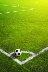 Fototapeta premium Soccer grass field with marking and ball, Sport