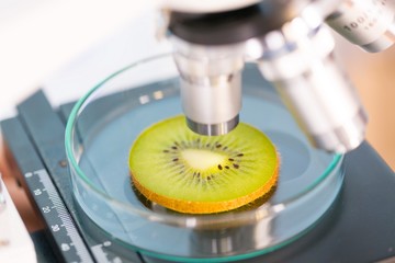 kiwi fruit in a laboratory microscope