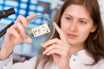 girl in the laboratory of food quality tests cheese