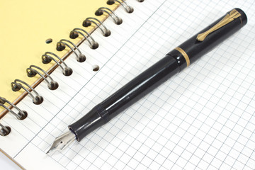 Fountain pen on spiral notebook