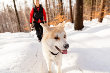 Woman and dog walking in winter mountains