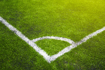 Soccer grass field with marking
