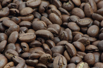 Closeup of many roasted brown coffee beans.