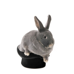 Rabbit out of the hat