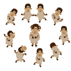 Sheep on a white background