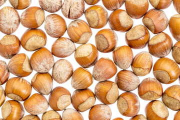hazelnuts on white background