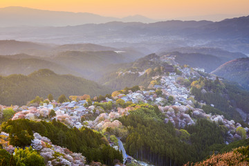 Yoshinoyama, Japan Spring Landscape