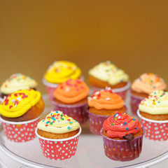 Multicolor cupcakes