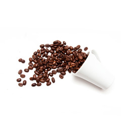 concept café et grains