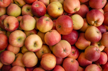 apple background