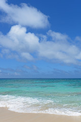 Fototapeta na wymiar 南国の美しいビーチと紺碧の空