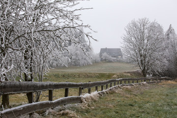 hoarfrost winter landscape