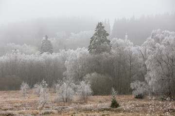 hoarfrost winter landscape