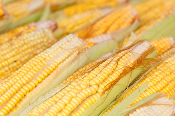 épis de mais