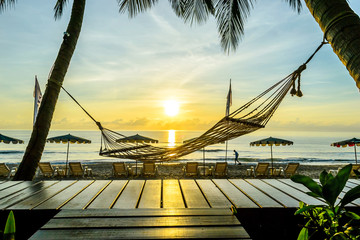 Hammock of the palm on the tropical beach