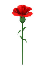 赤いカーネーション