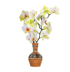 Bouquet Flowers Orchid in decorative vase