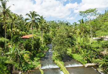 Fototapeta na wymiar Tropical Bali