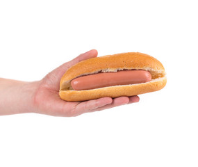 Tasty hotdog