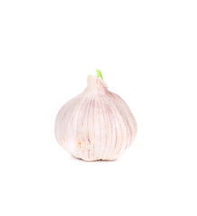 Head of garlic.