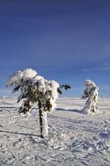 Cross country ski hiking trail