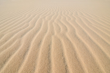 sand texture background