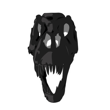 skull fossil Dinosaur