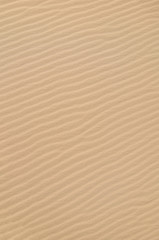 sand texture background