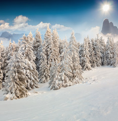 Beautiful winter landscape in the mountains