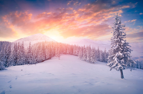 Colorful winter sunrise  in the mountains