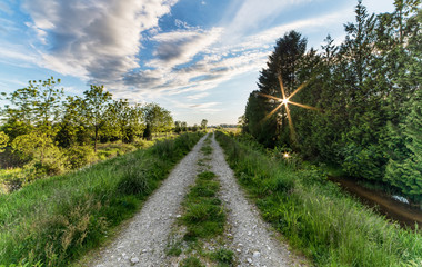 Stone Overgrown Road Leading to Distance with Sun Star