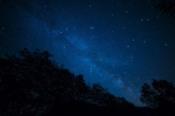 Fototapeta na wymiar Milky Way Above Trees
