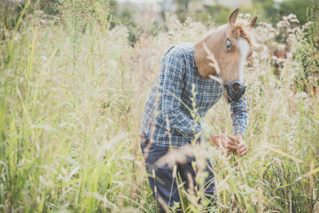 horse mask absurd man